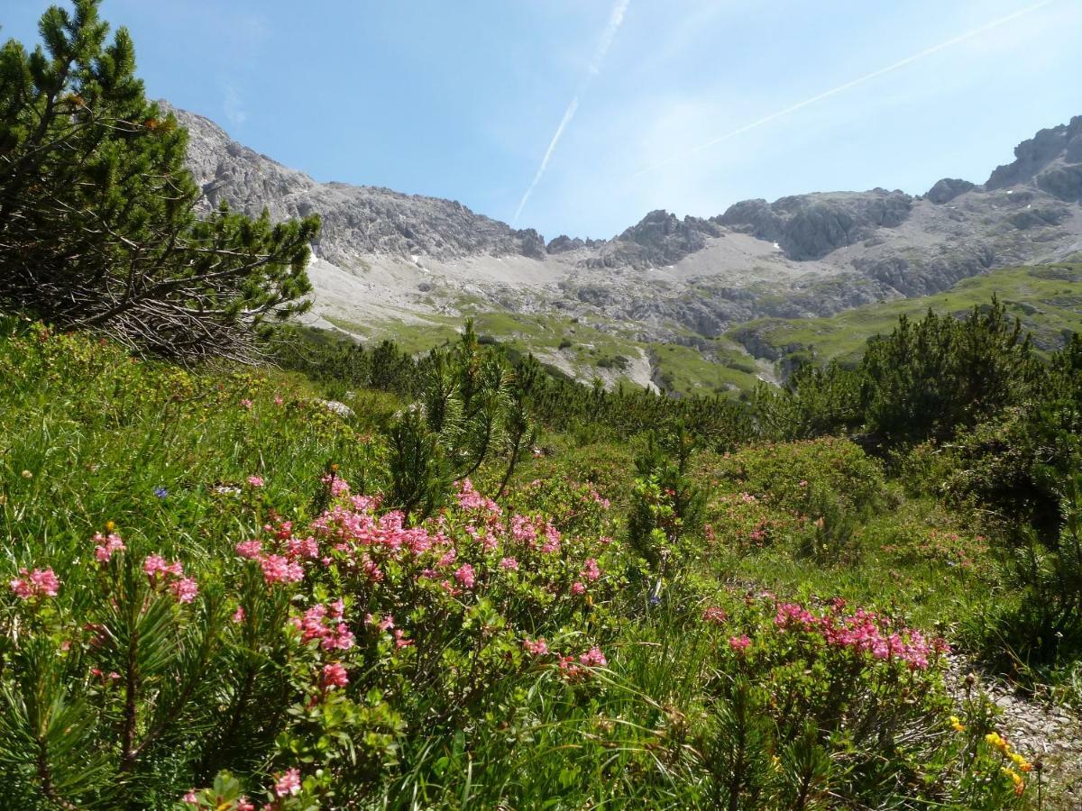 Auszeit Im Allgaeu Зонтхофен Экстерьер фото